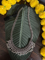 Load image into Gallery viewer, Long Temple Necklace 2
