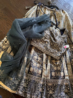 Load image into Gallery viewer, Diva Mirror Silk Lehenga Skirt Set 5
