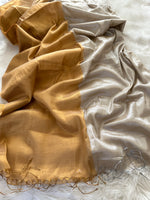 Load image into Gallery viewer, Silk Tissue Saree - Gold &amp; Silver - Sona Chaandi Saree

