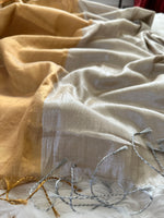 Load image into Gallery viewer, Silk Tissue Saree - Gold &amp; Silver - Sona Chaandi Saree

