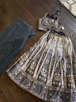 Load image into Gallery viewer, Diva Mirror Silk Lehenga Skirt Set 5
