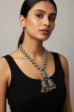 Load image into Gallery viewer, Long Necklace Silver Polish
