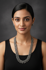 Load image into Gallery viewer, Long Necklace Silver Polish
