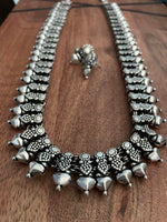 Load image into Gallery viewer, Long Necklace Silver Polish
